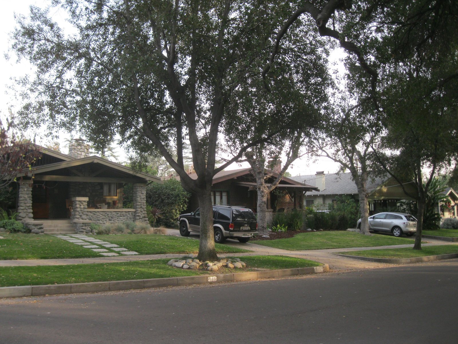Craftsman homes on a tree-lined Pasadena street